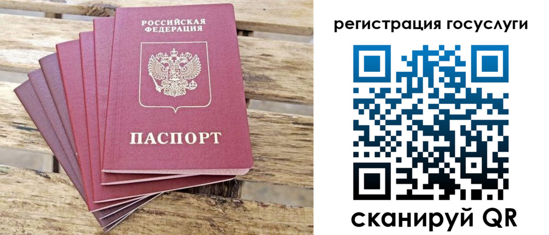 временная регистрация законно в Бийске